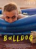 Poster der Bulldog