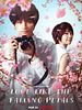 Poster der Love Like The Falling Petals