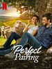 Poster der A Perfect Pairing