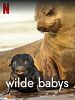 Bild von 