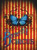 Poster der The Butterfly Circus