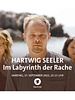 Poster der Hartwig Seeler: Im Labyrinth der Rache