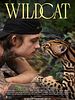 Poster der Wildcat