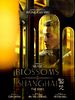 Poster der Blossoms Shanghai