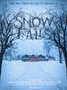 Poster der Snow Falls