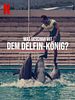 Poster der Was geschah mit dem Delfin-König?