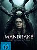 Poster der Mandrake - Wurzel des Bösen