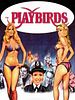 Poster der The Playbirds