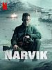 Poster der Narvik