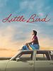 Poster der Little Bird