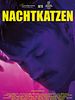Poster der Nachtkatzen