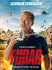Poster der Fubar