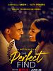 Poster der The Perfect Find