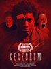 Poster der Cerebrum