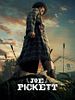 Poster der Joe Pickett