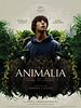 Poster der Animalia
