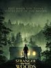 Poster der Stranger In The Woods