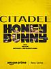 Poster der Citadel: Honey Bunny