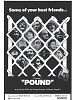 Poster der Pound