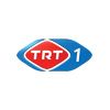 Trt 1