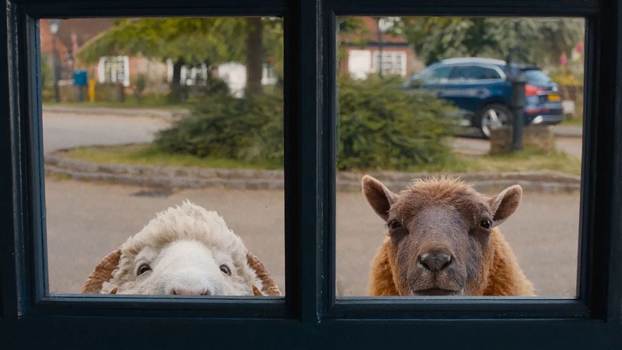 Lily und Mopple müssen gemeinsam den Mörder finden.