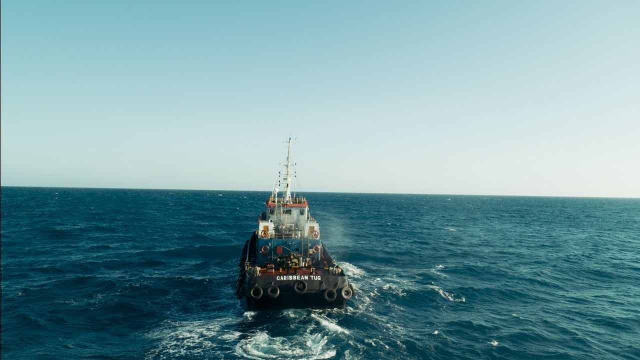 Pepe und seine Artgenoss*innen treten die unfreiwillige Reise in Richtung Kolumbien an, um einem Drogenbaron seinen absurden Privatzoo-Traum zu erfüllen.