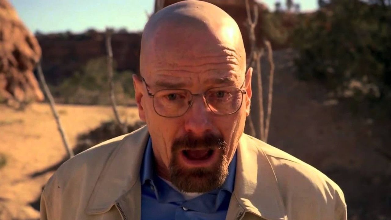 Fassungslos vor den Trümmern stehend: Walter White (Bryan Cranston)