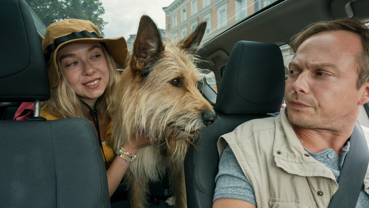 Mal sehen, wie sehr sich die Vierbeiner in den Vordergrund drücken.