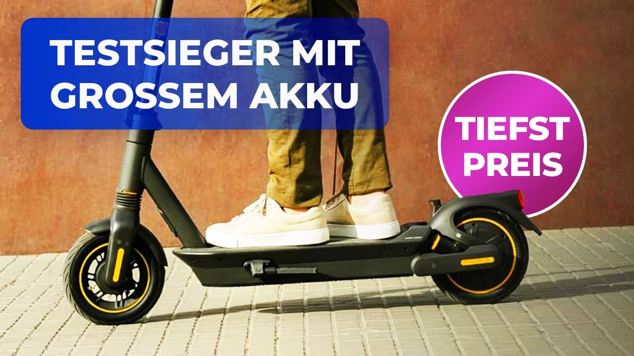 Artikel Bild