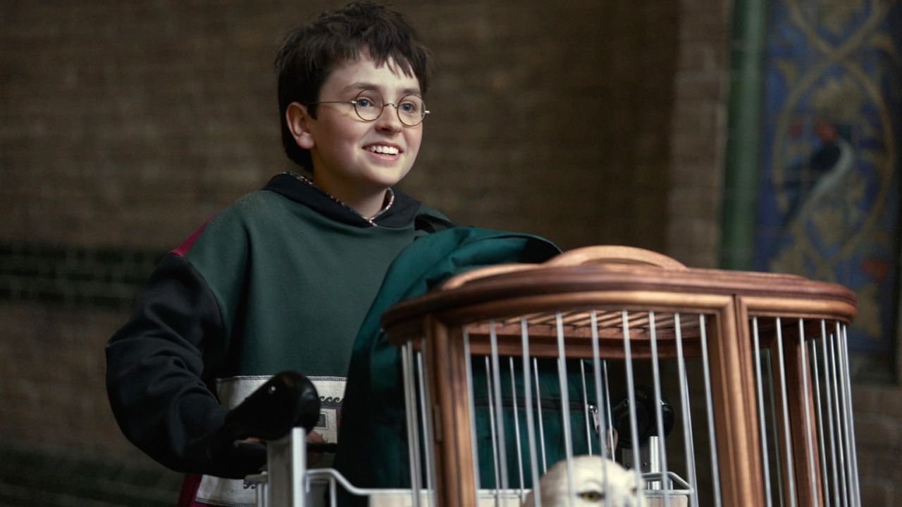 Dominic McLaughlin als Harry Potter