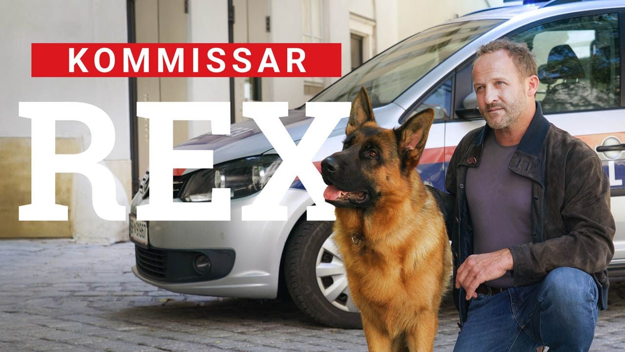 Das Reboot von „Kommissar Rex“ kommt bisher richtig gut an.