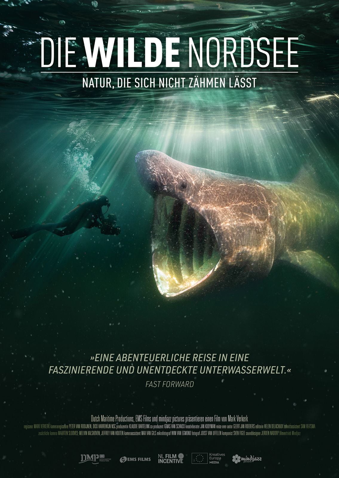 Die Wilde Nordsee - Natur, die sich nicht zähmen lässt