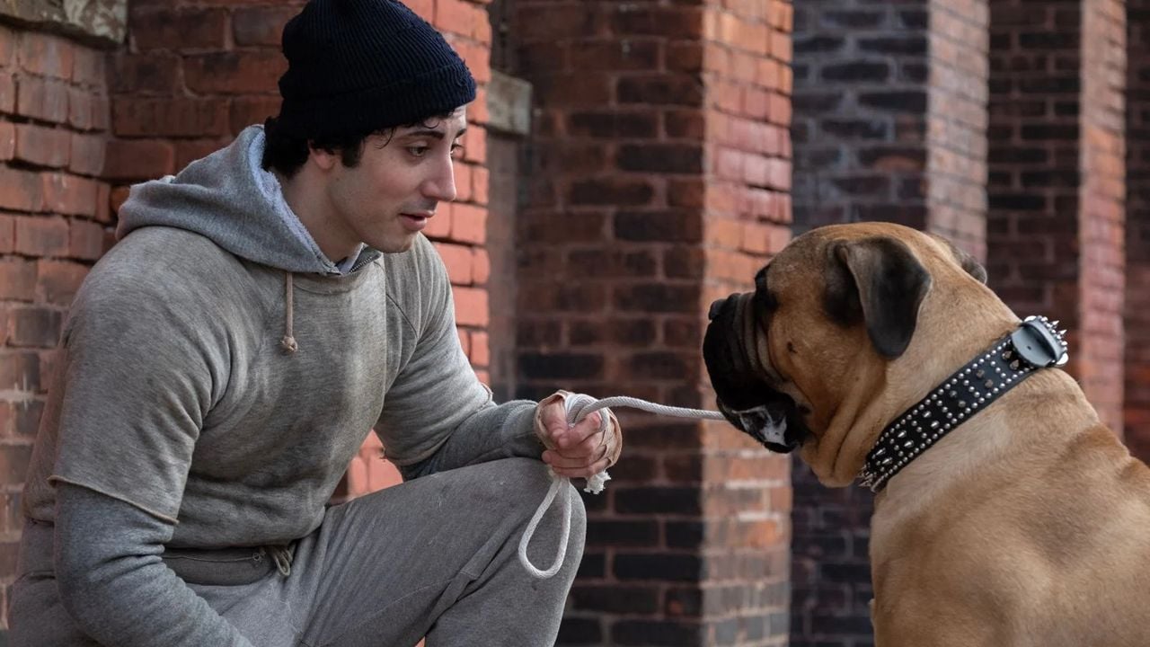 Sylvester Stallone (Anthony Ippolito) und sein bester Freund Bullmastiff Butkus.