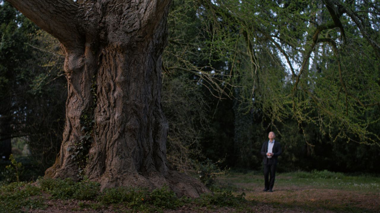 Tony Wong (Tony Leung) bleibt während der Corona-Pandemie allein in der Philipps-Universität in Marburg zurück – und entdeckt sein Interesse für einen alten Gingko-Baum.
