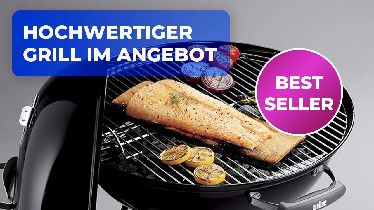 Artikel Bild