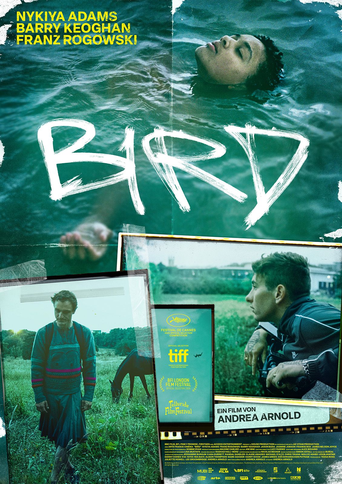 Kinoprogramm f r bird in hillesheim filmstarts de