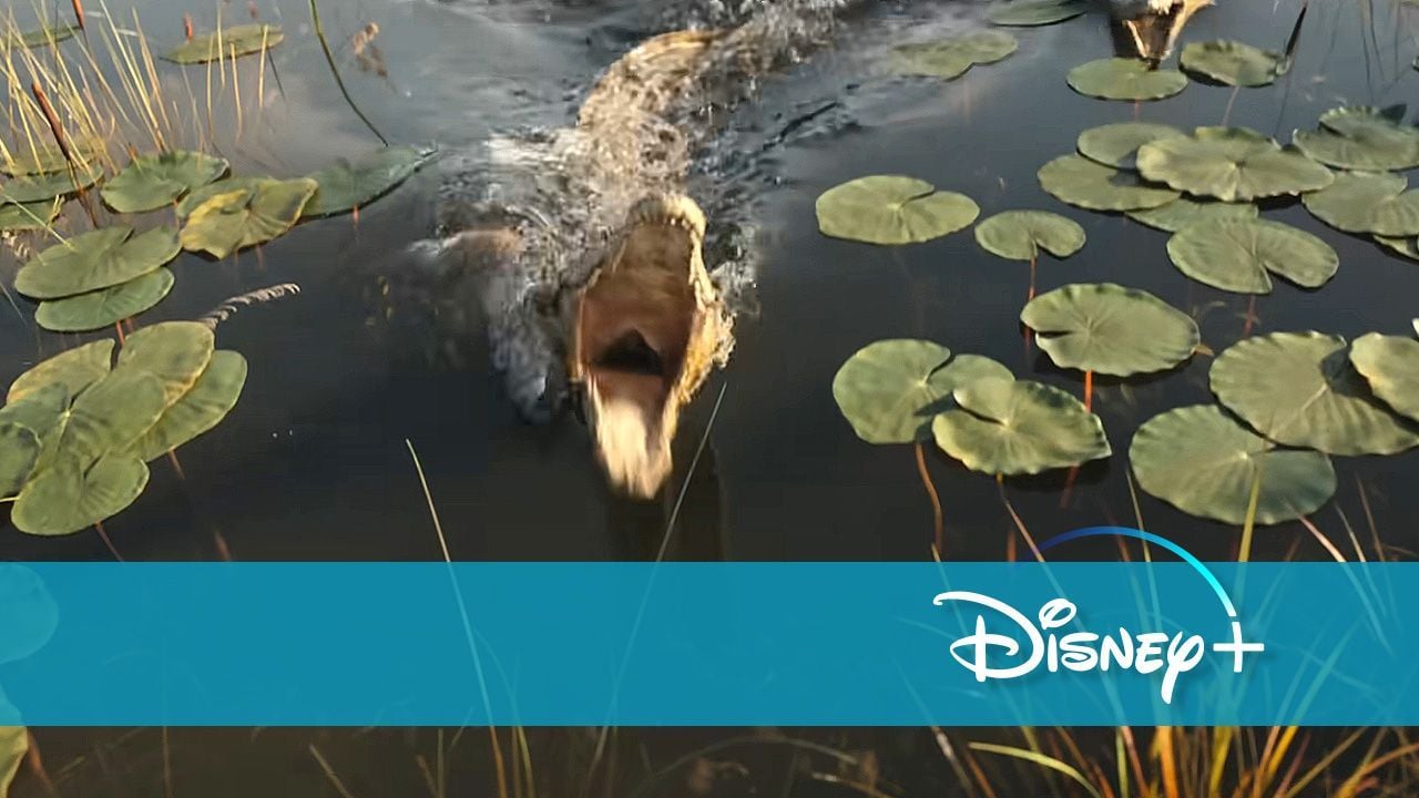 Nach "Vaiana 2": Heute gibt es direkt den nächsten Kino-Megahit von 2024 bei Disney+ – nur 4 Monate nach Start