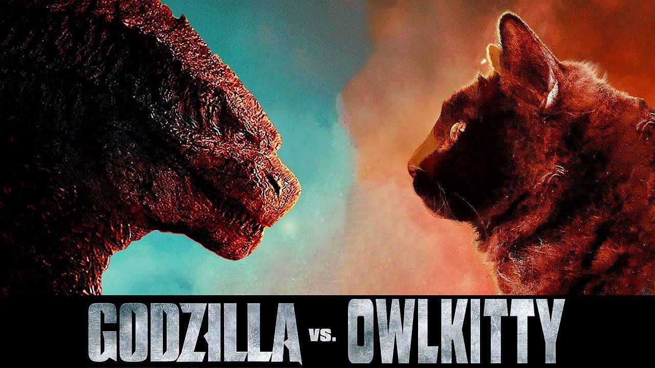 Godzilla Vs King Cat So Habt Ihr Eure Lieblingsfilme Noch Nie Gesehen Top Gun 2 Titanic