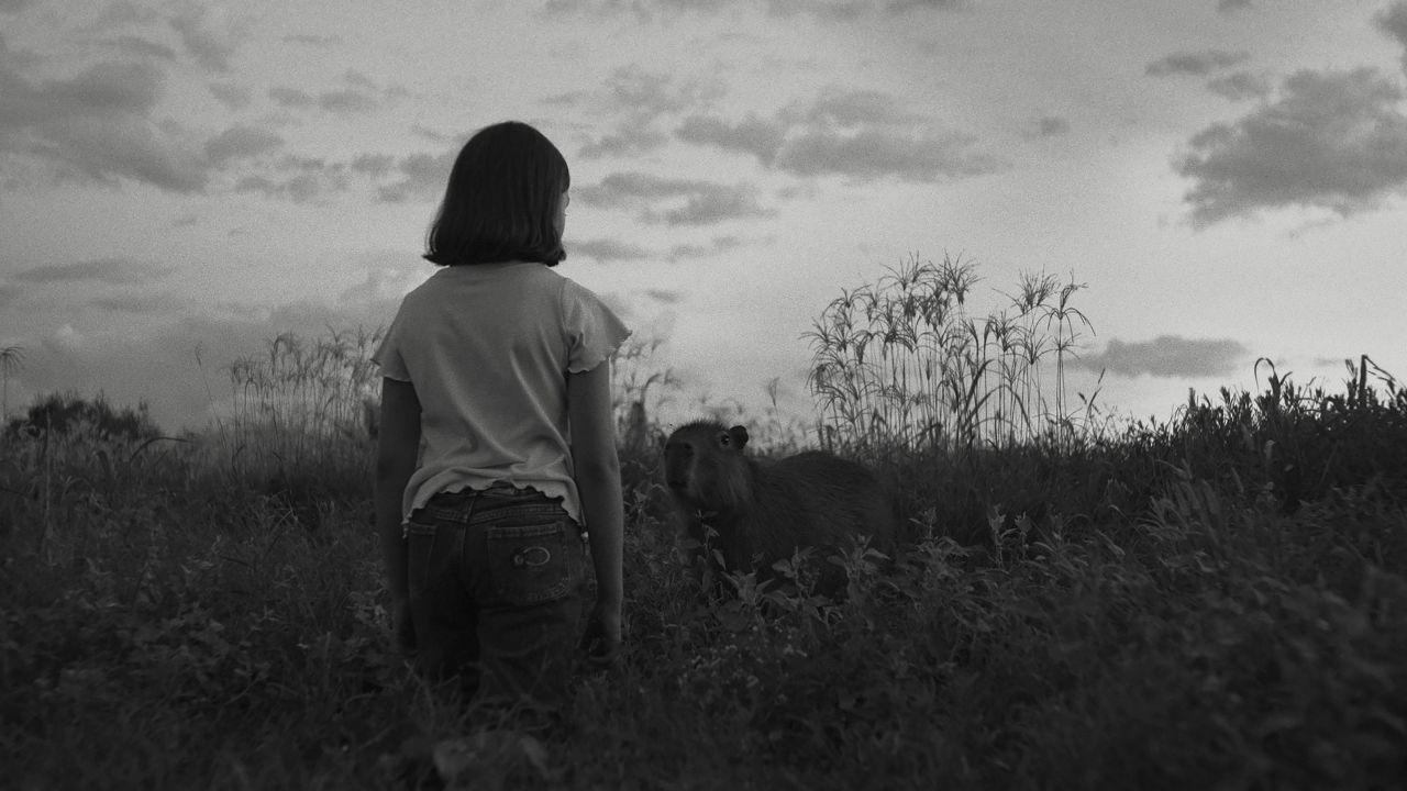 Der Auftritt des Wombats gehört zu den absoluten Höhepunkten von „Die Nachricht“.