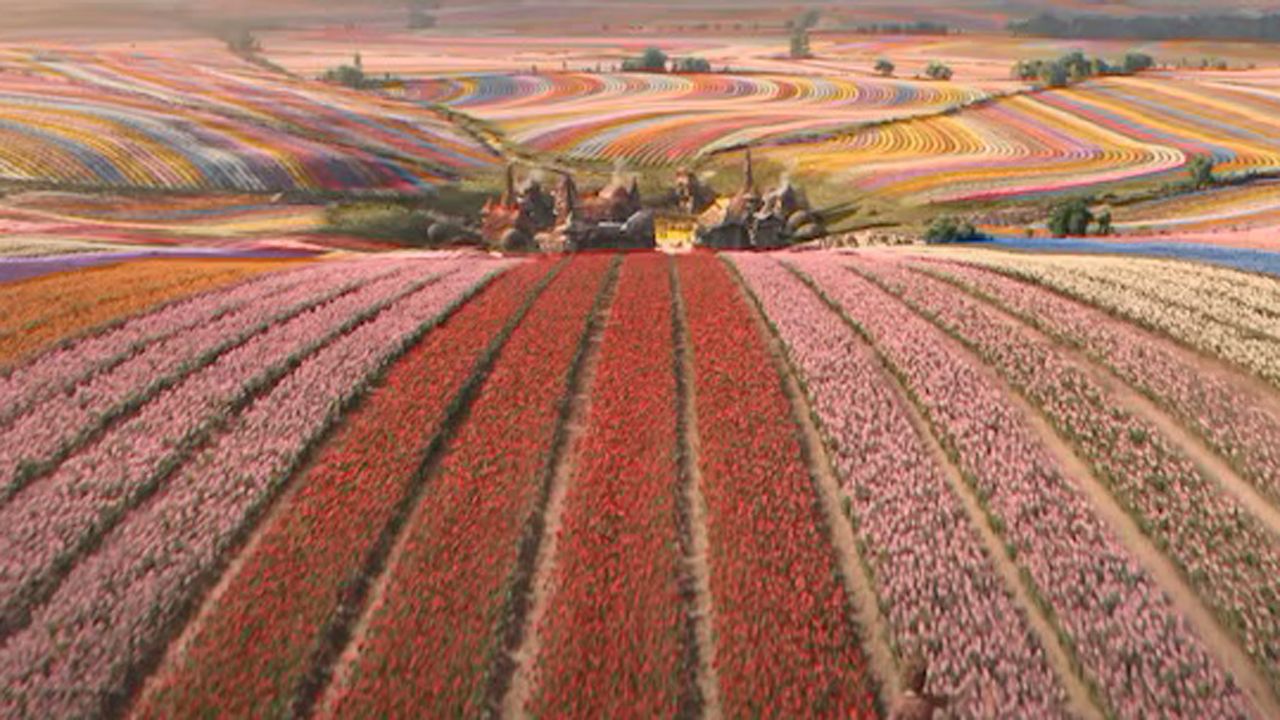 Das wunderschöne Tulpenmeer in 