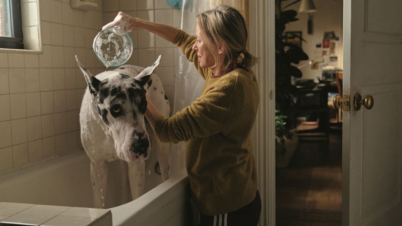 Iris (Naomi Watts) wohnt in einer so winzigen Wohnung, dass ihr ungeplanter Hausgast eigentlich kaum hineinpasst.