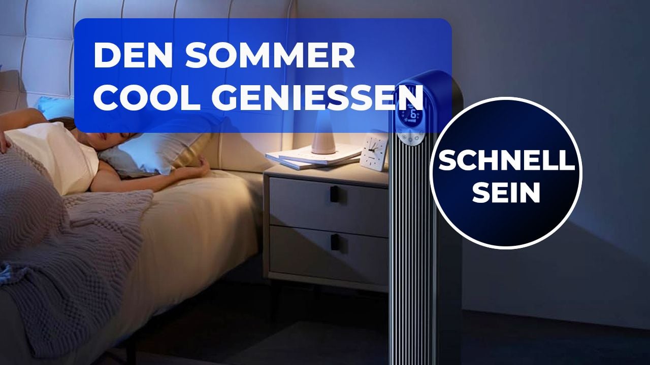Artikel Bild
