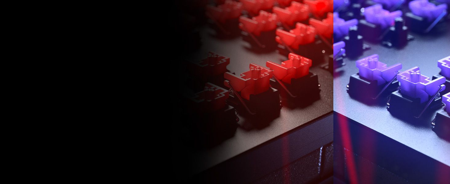 So sehen die optischen Switches aus