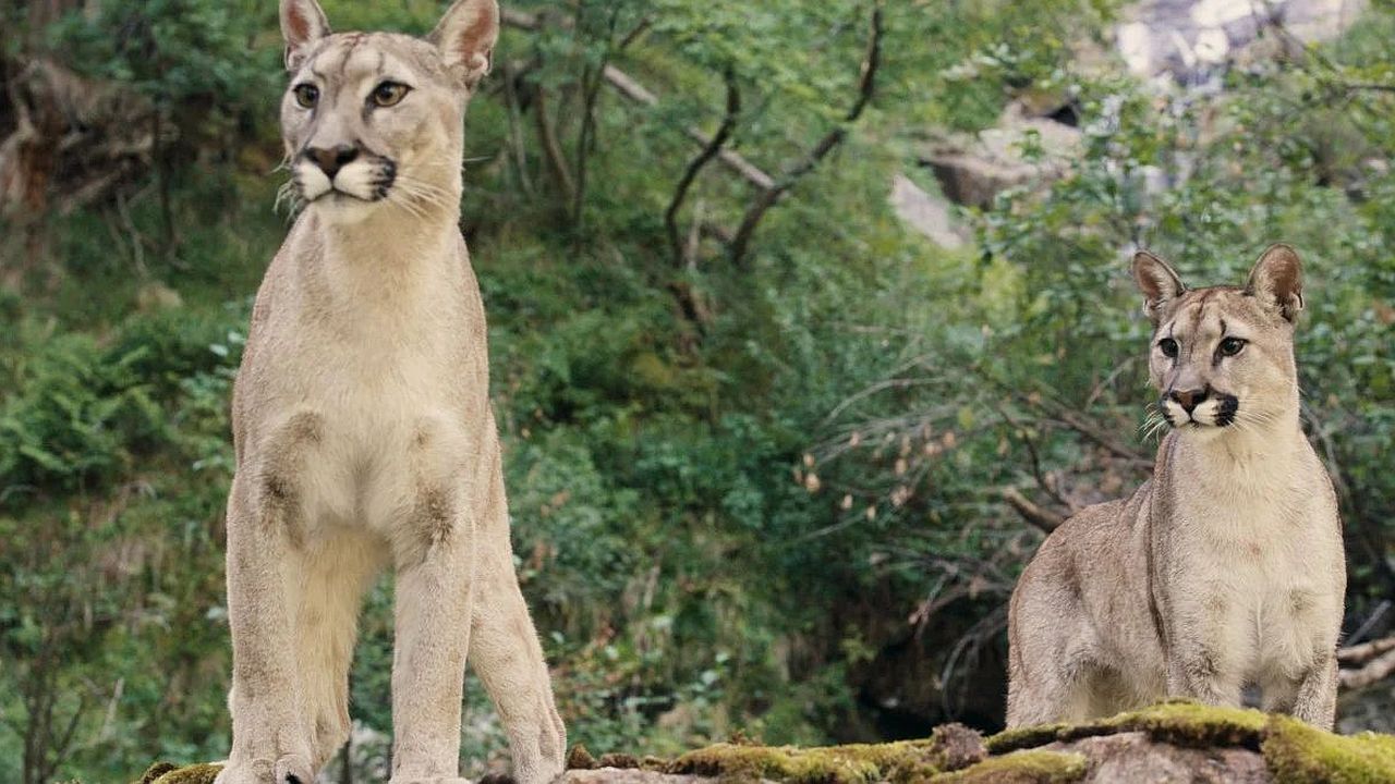 Jedes Tier bringt eigene Herausforderungen mit