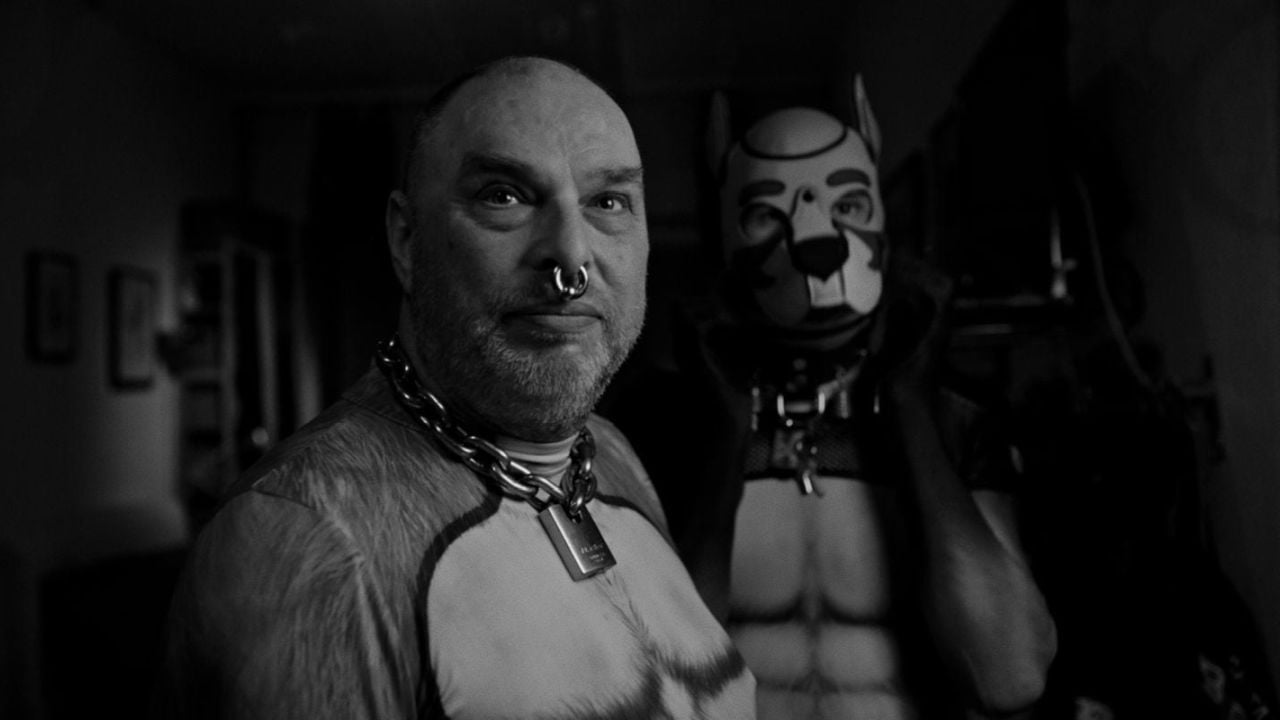 Einfach happy! Das Dog-Play-Duo Oli & Foxy wirkt im Film so, als hätten sie ihre Beziehung trotz (oder wegen?) Leckerli-Betteln und FickstutenMarkt-Massenorgien von allen am besten im Griff. 