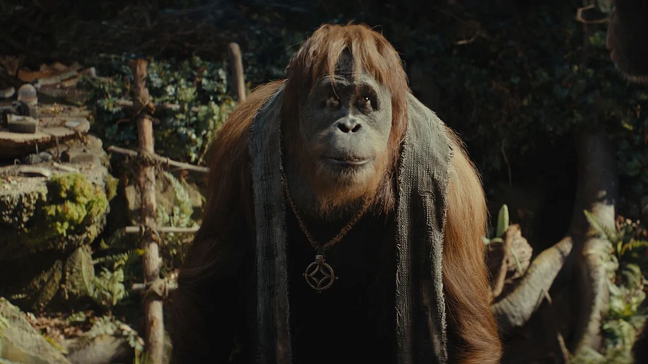 Die Lehren von Ceasar drohen endgültig in Vergessenheit zu geraten.