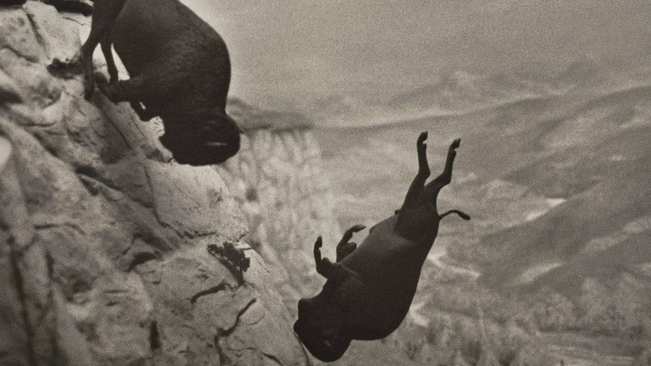 Rasen wir unaufhaltsam auf den Abgrund zu?