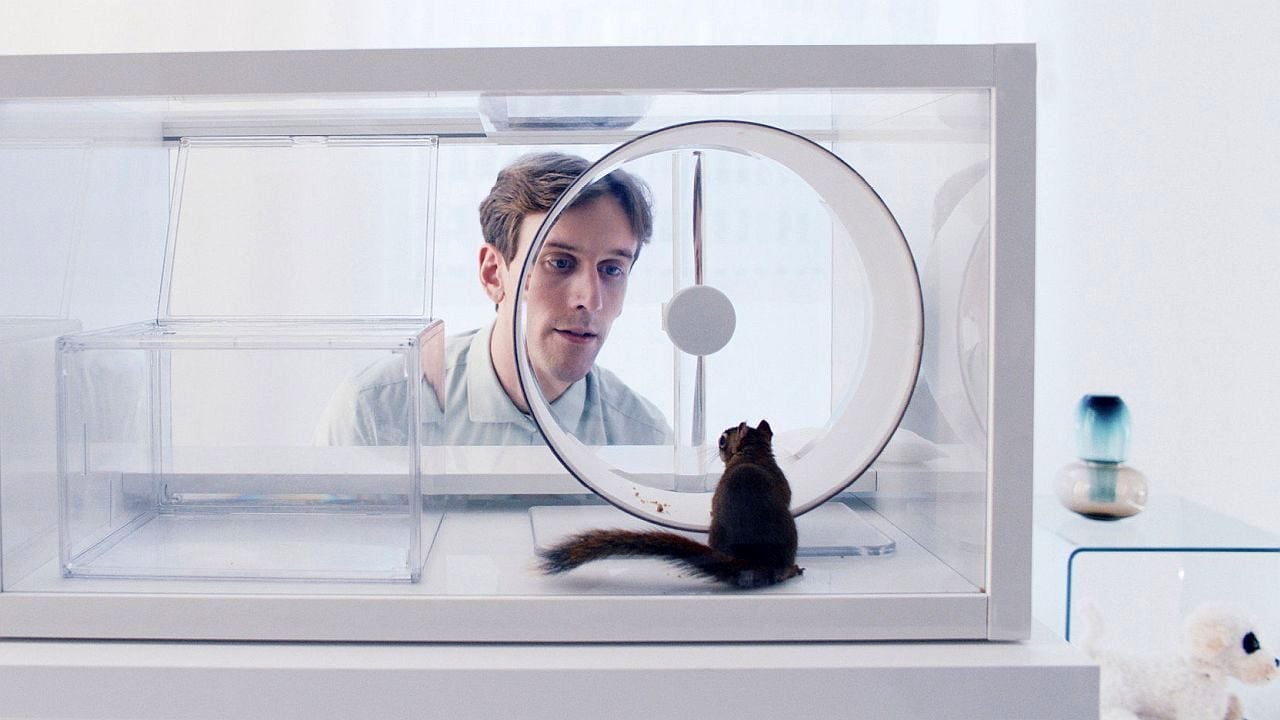 Das letzte Tier auf Erden: Trailer zur Science-Fiction-Dystopie "Das Eichhörnchen" – bald im Kino!