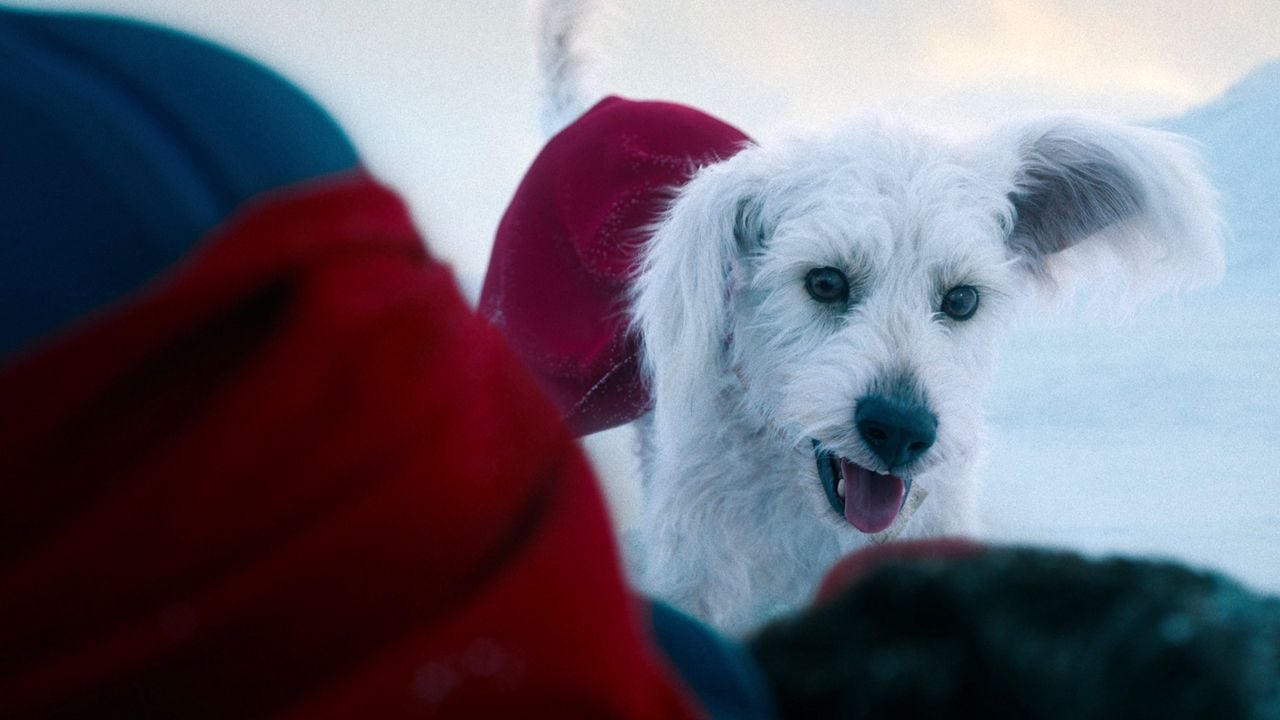 Alles andere als ein braver Hund: Neuer "Superman"-Trailer begeistert mit Superhund Krypto, Robotern und der Festung der Einsamkeit