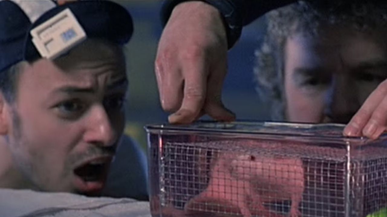 Ein Ausschnitt der strittigen Rattenszene aus 